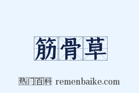 筋骨草是什么意思的图片